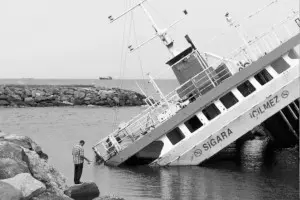 Accidentes de Transporte